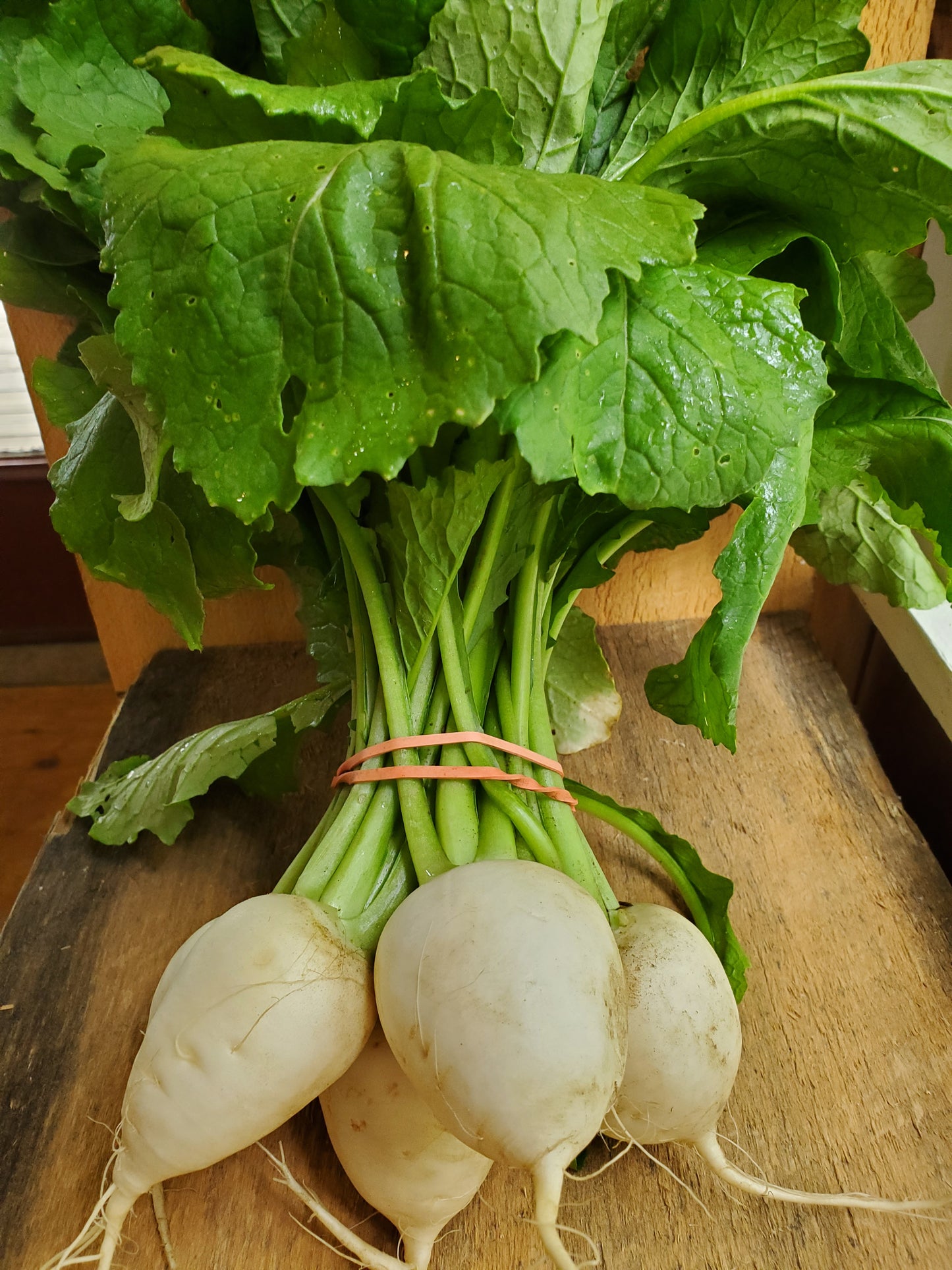 Hakurei Turnips, 1 bunch