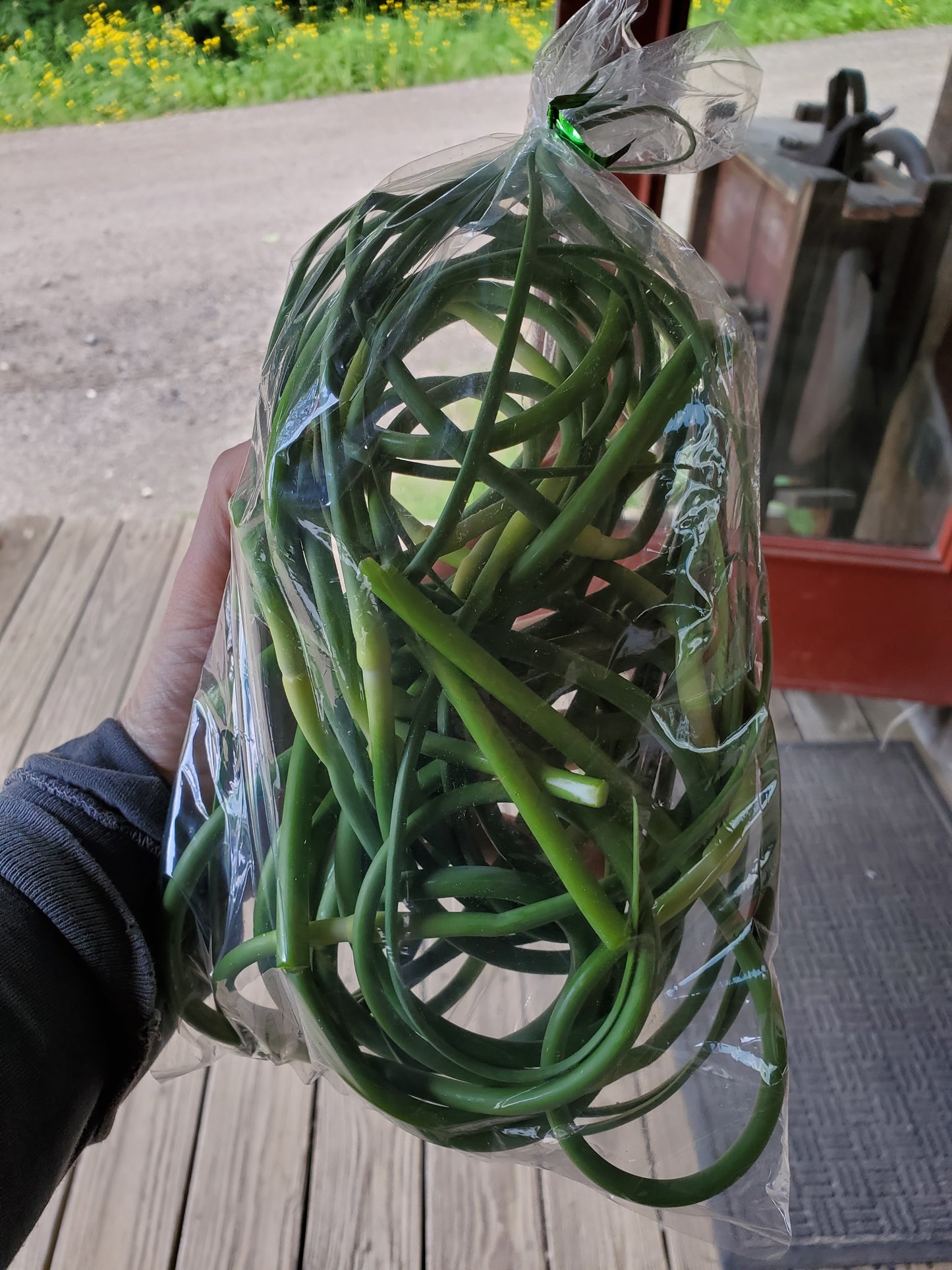 Garlic Scapes, 1/2 lb bag