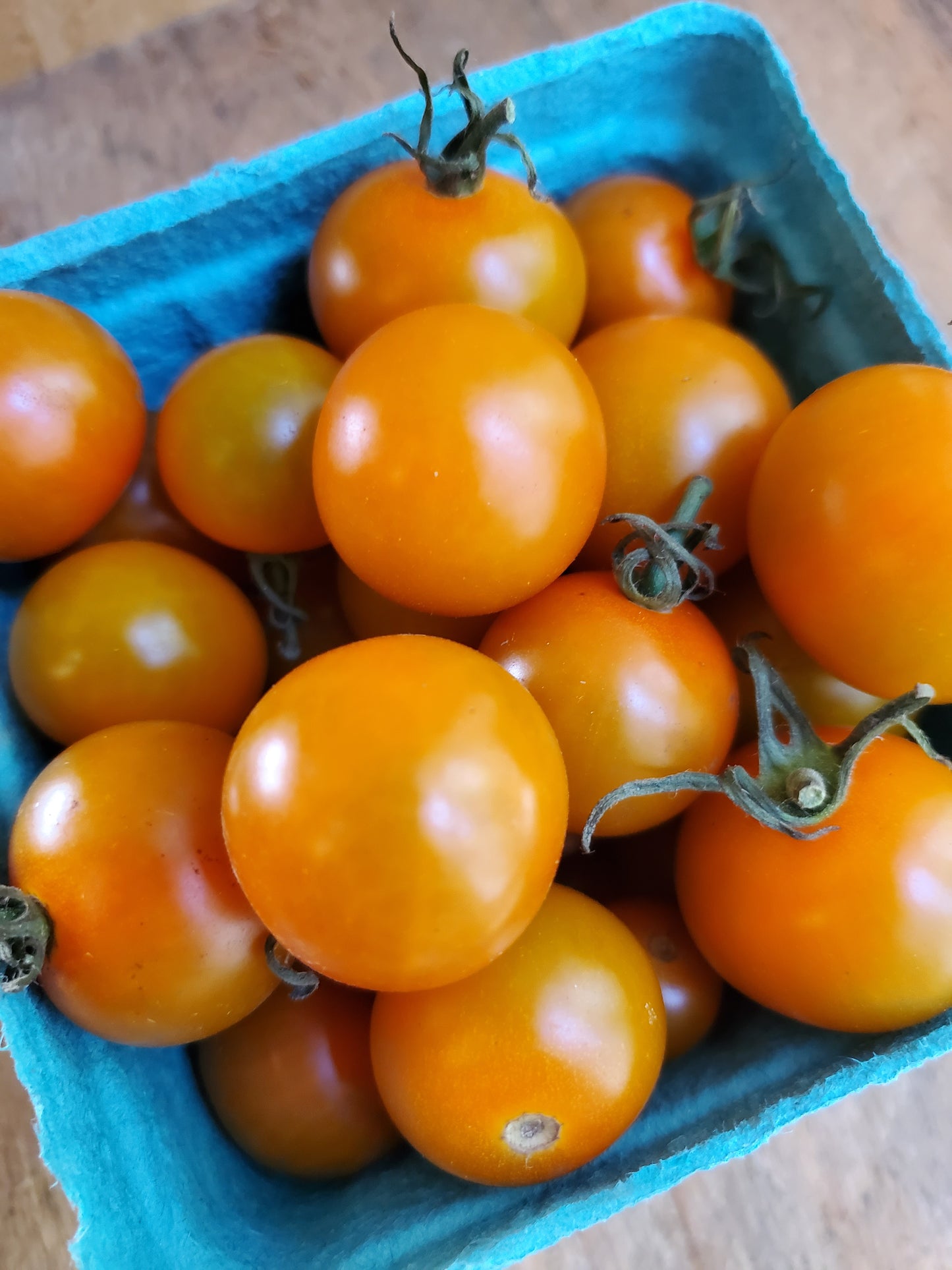 Cherry Tomatoes, Sungold, Pint