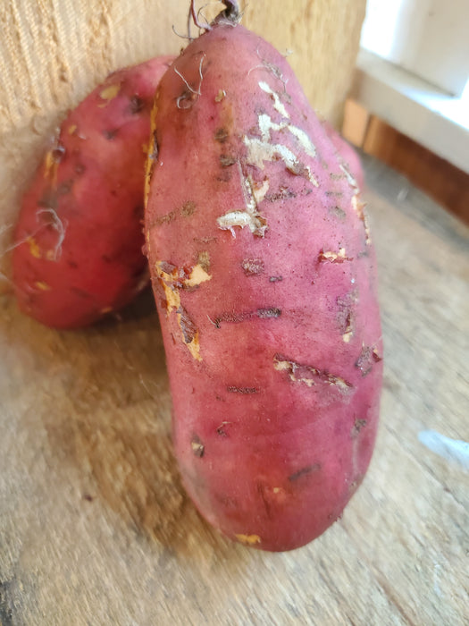 Sweet Potato, Organic, each, approx .75 lbs
