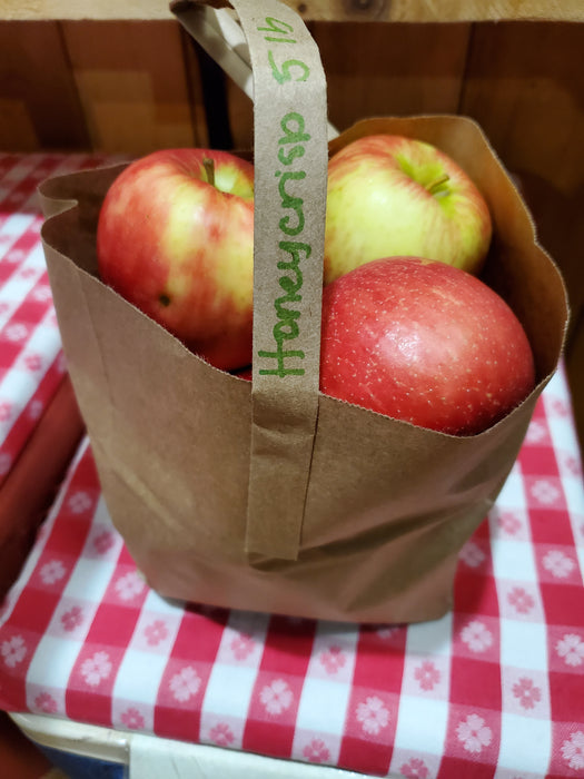Apples, Honeycrisp, 3.5 lb bag