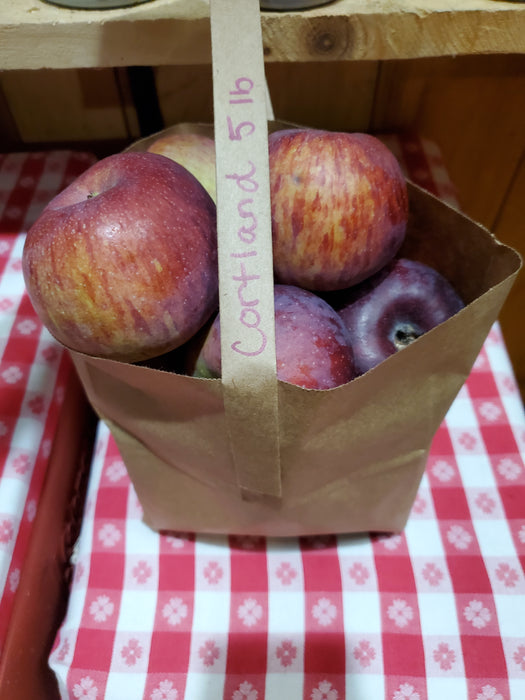 Apples, Cortland, 5 lb bag