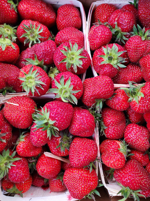 Strawberries, IPM, Pint