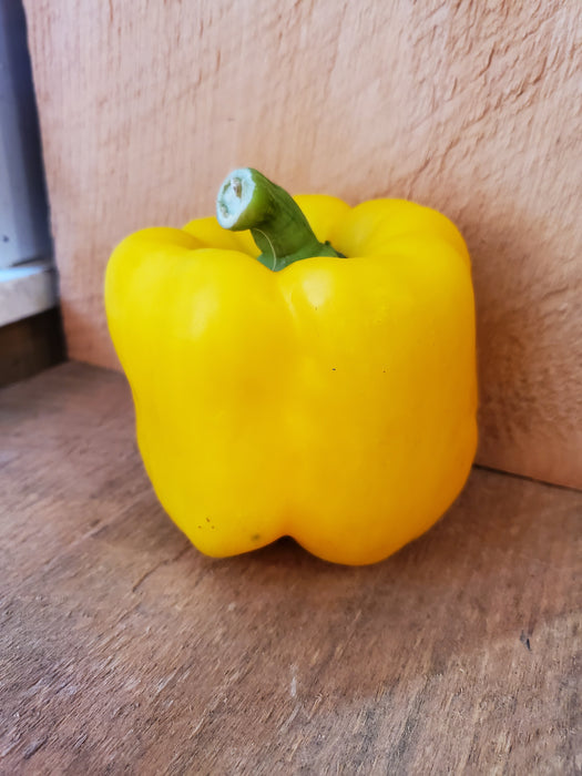 Peppers, Yellow Bell, IPM, Each
