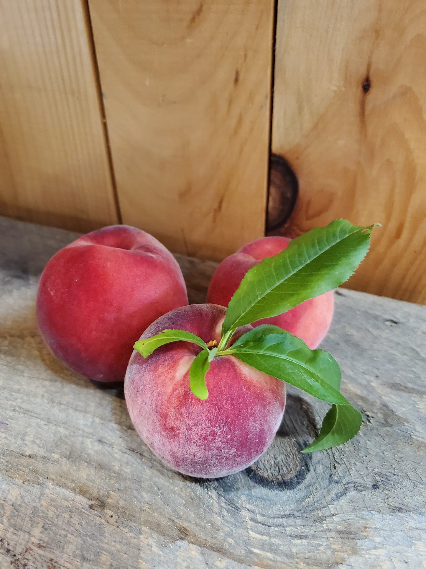 # Peaches, White, IPM