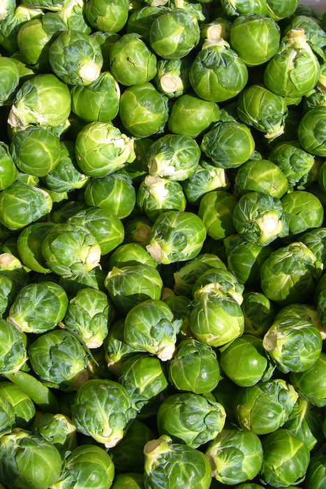 Brussel Sprouts, 1 lb bag