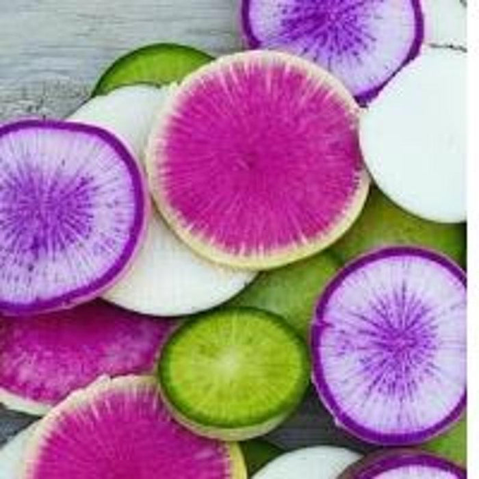 Radishes, Mixed Daikon, Each, approx .25 lbs