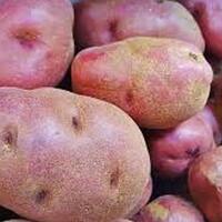 # Potatoes, Red