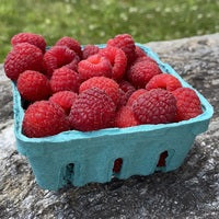 Raspberries, IPM, Half Pint