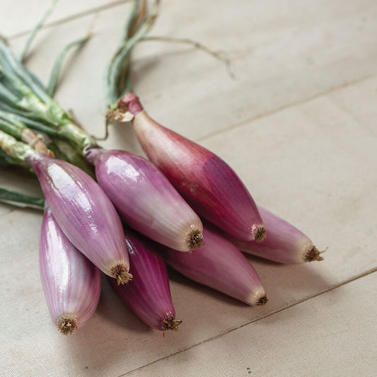 Fresh Red Onion, bunch