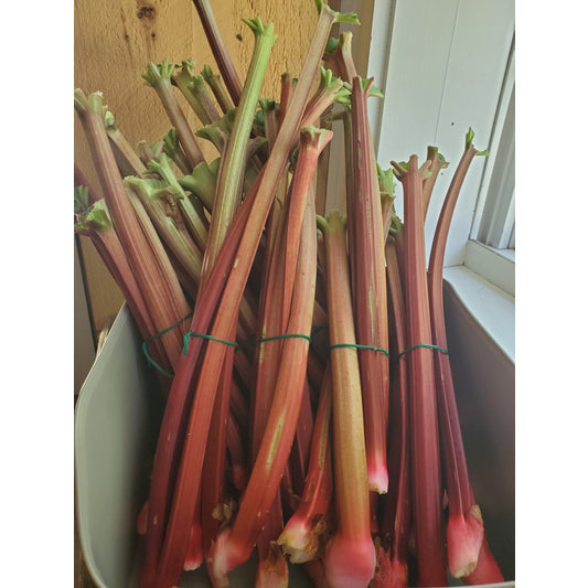 Rhubarb