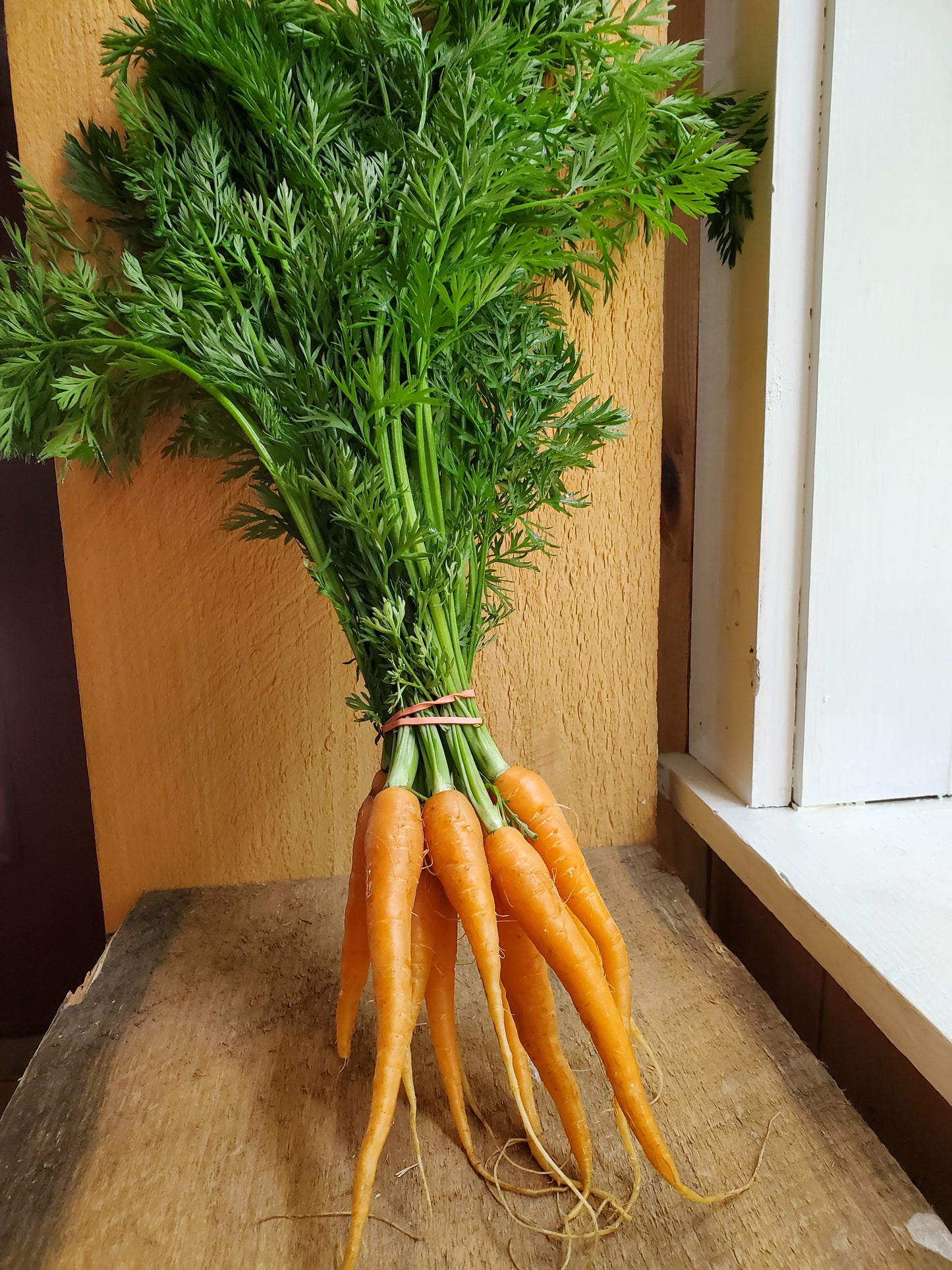Carrots, Organic, bunch