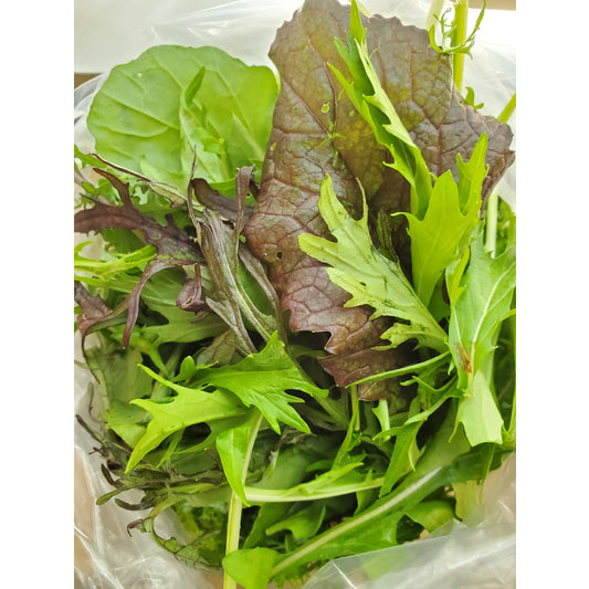Spicy Salad Mix, 1/3 lb bag