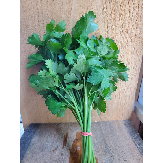 Parsley, Flat, Bunch