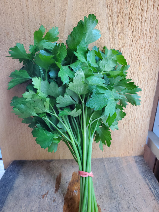 Parsley, Flat, Bunch