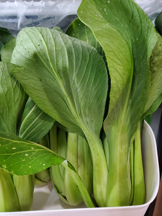 Bok Choy, Baby, Organic, .5 lb bunch