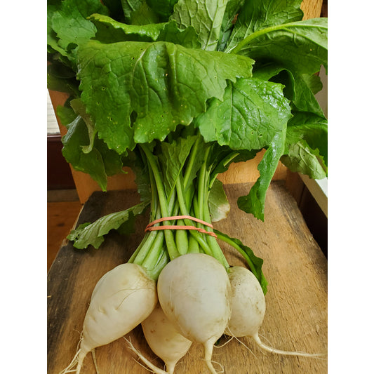 Hakurei Turnips, 1 bunch