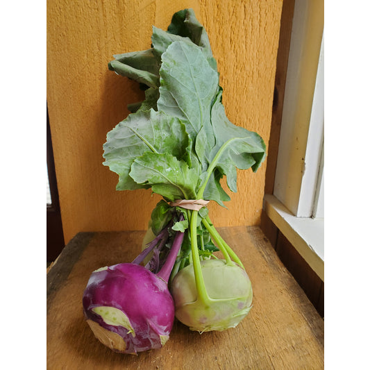 Kohlrabi, 1 bunch