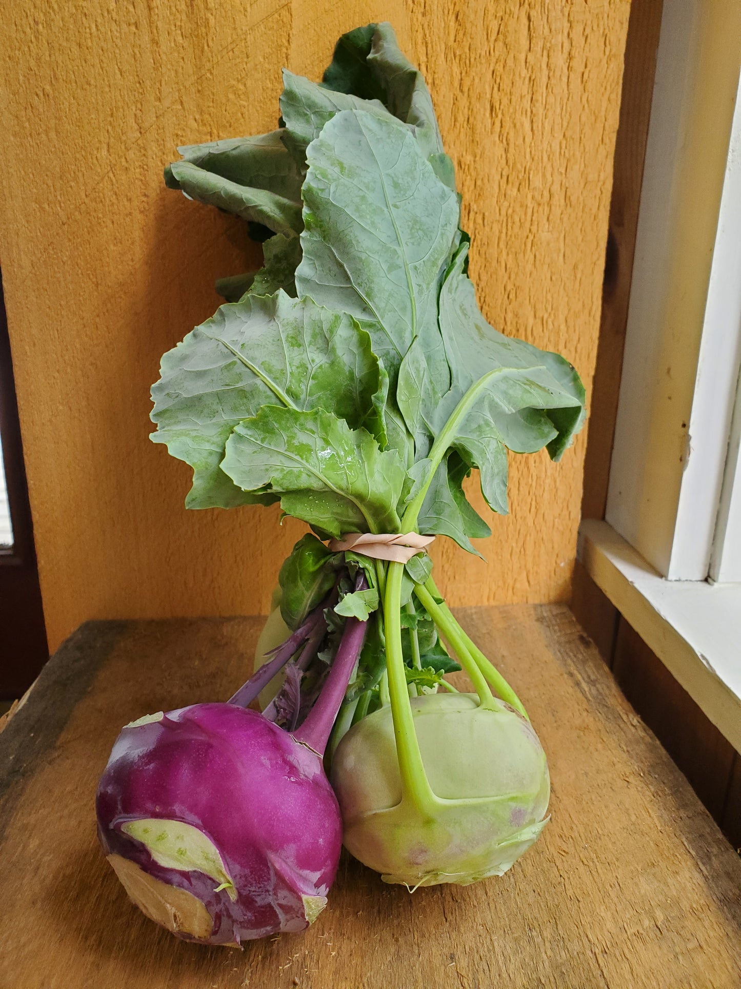 Kohlrabi, 1 bunch