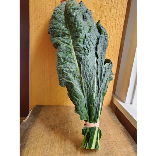 Lacinato Kale, bunch
