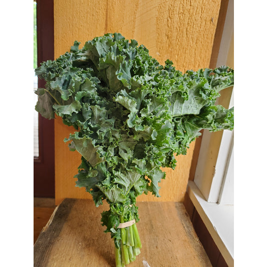 Curly Kale, bunch