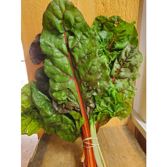 Swiss Chard, bunch