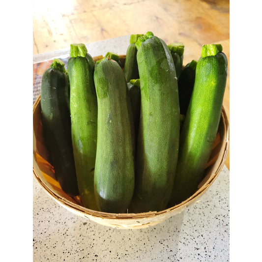 # Zucchini