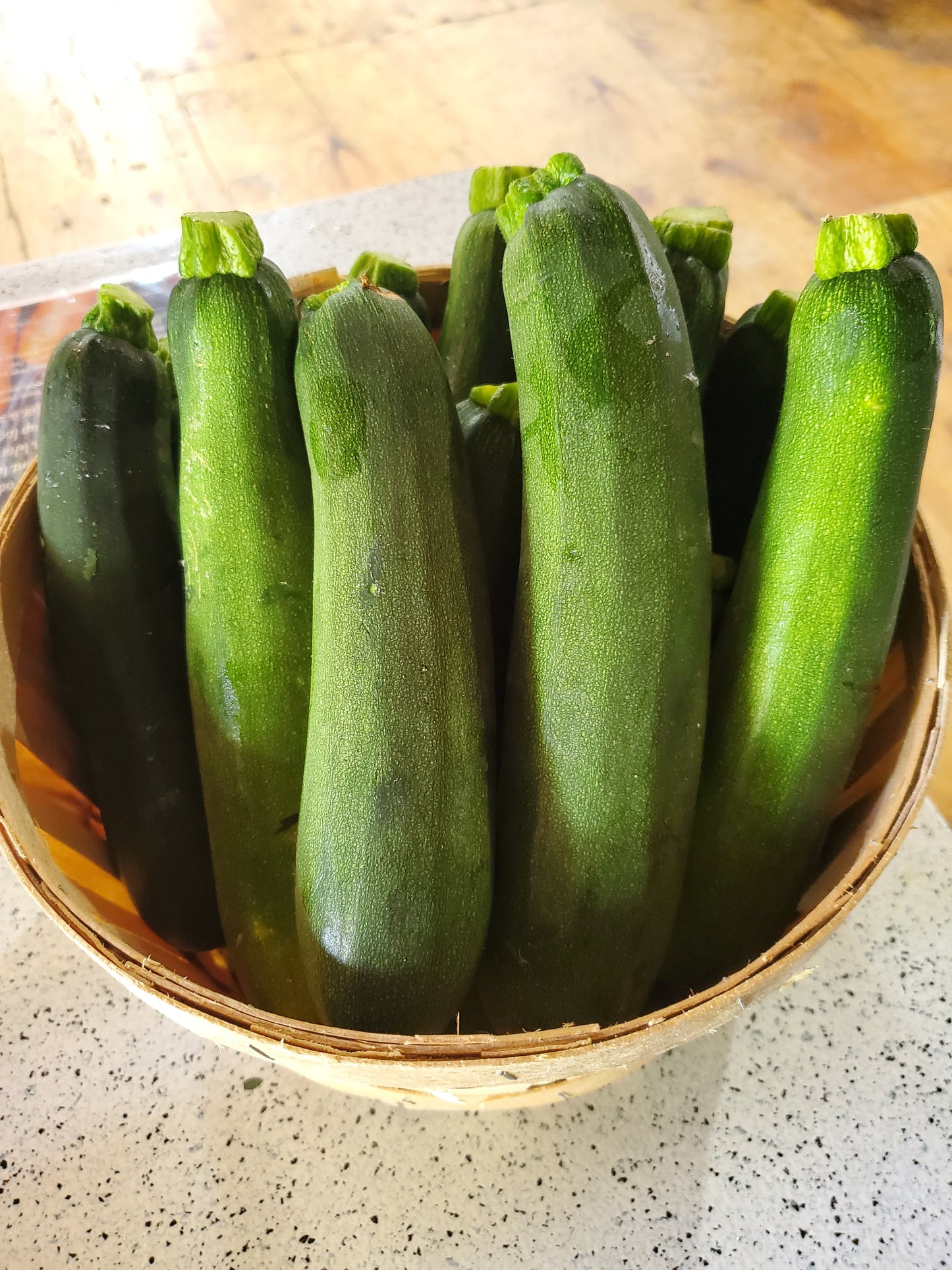 # Zucchini