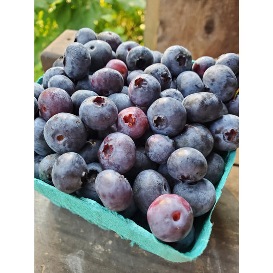 Blueberries, IPM, pint