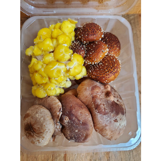 Fresh Mushrooms, Medley, Organic, 4 oz