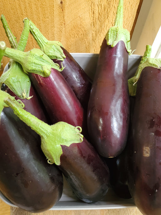 Eggplant, Italian, approx .5 lb each