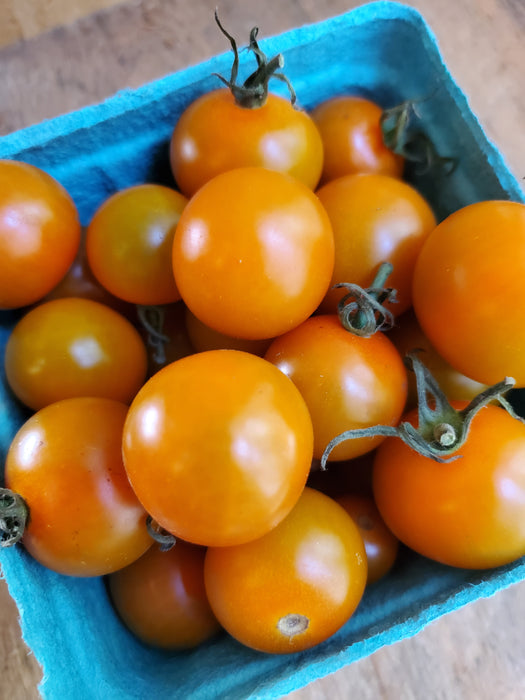 Cherry Tomatoes, Sungold, Pint