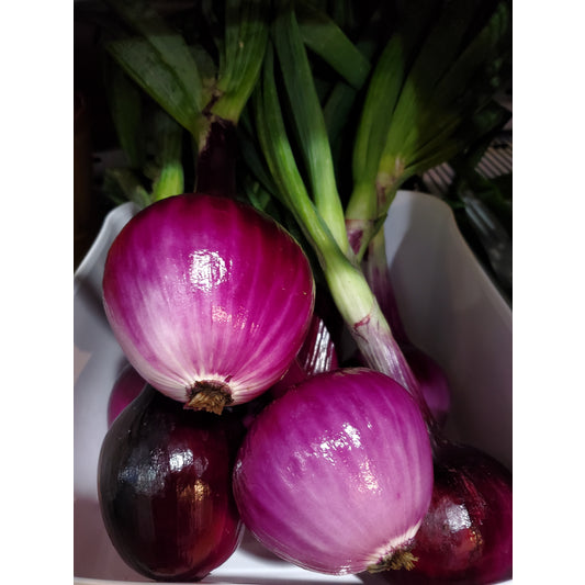 # Fresh Red Onion, Organic