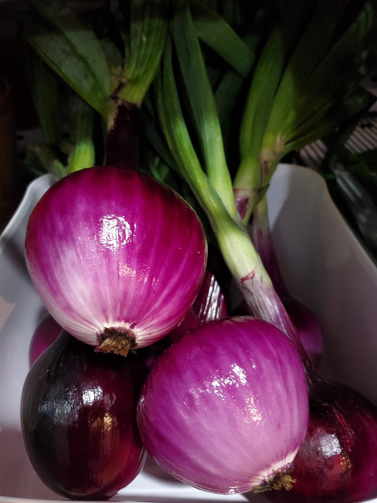 # Fresh Red Onion, Organic