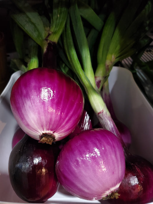 Fresh Red Onion, bunch