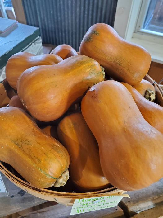 Squash, Honeynut, each, approx 1 lbs
