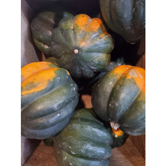 # Squash, Acorn