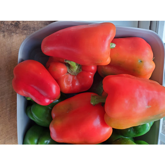 # Peppers, Red Bell