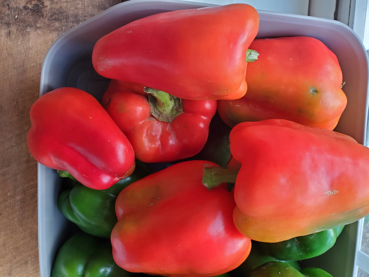 # Peppers, Red and Yellow Bell