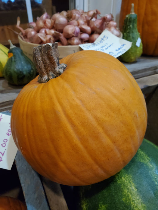 Pumpkin, Pie, each