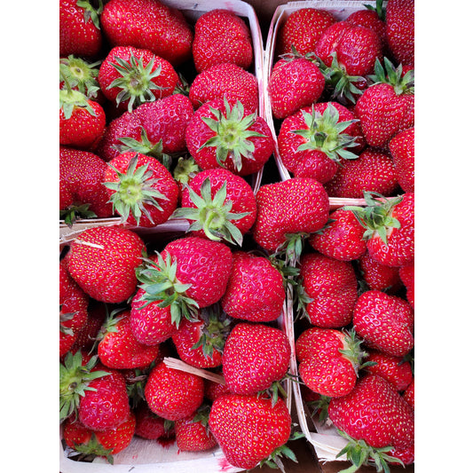 Strawberries, IPM, Quart