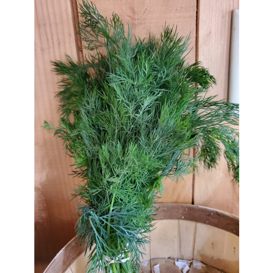 Dill, 1 bunch