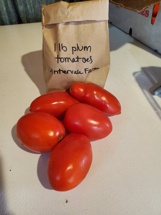 Tomatoes, Paste, 2.5 lb bag
