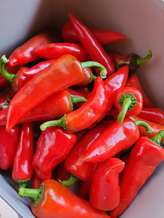 Peppers, Cheyenne, each