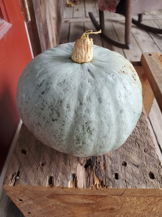 Squash, Kabocha, each, approx 4 lbs