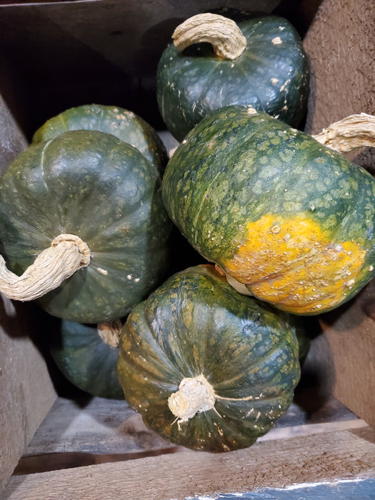 Squash, Buttercup, each, approx 3 lb