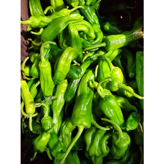 Shishito Peppers, Pint
