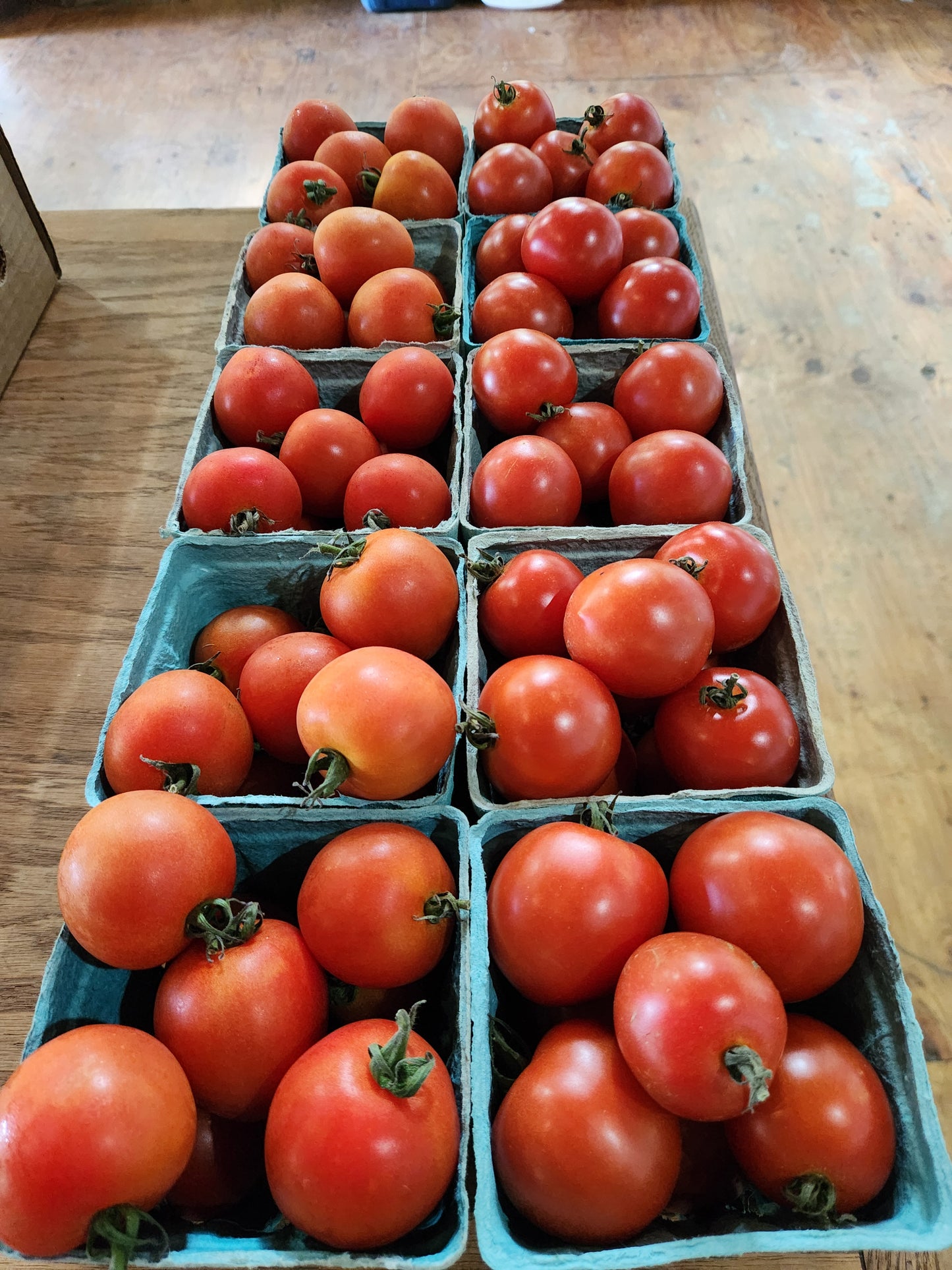 Salad Tomatoes, Pint