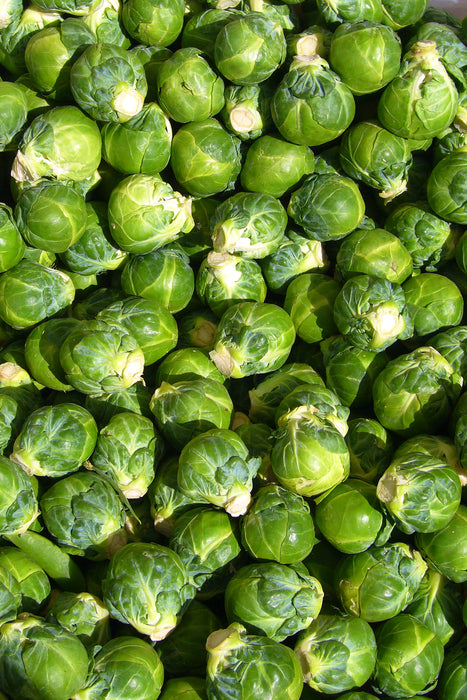 Brussel Sprouts, 1 lb