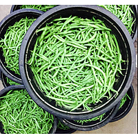 Green Beans, 1/2 lb bag